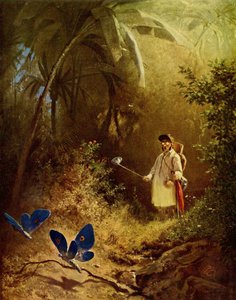 Le Chasseur de Papillons